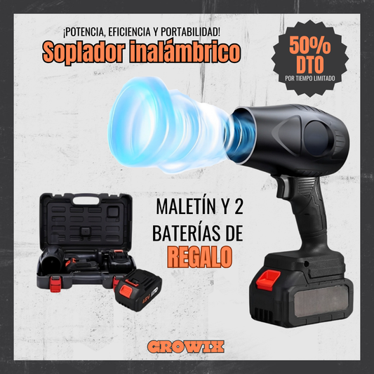 Soplador de Aire Potente a Bateria.